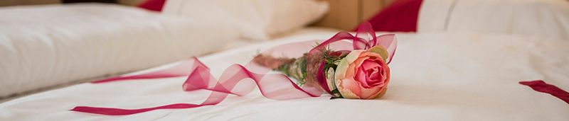 2015.04.15_Hotel-Franke_061_Header