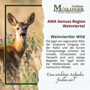 https://cdn.gastronovi.com/tmp/images/_202210-fb-post-wildwochen-mehrwert-weinviertlerwild-20221014_678x356_or_16265552965300506.png