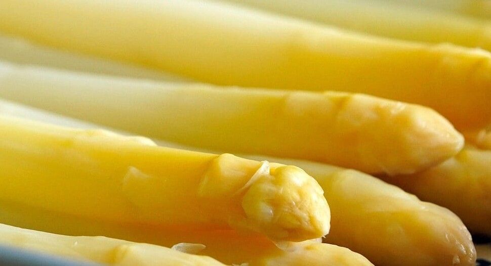 https://cdn.gastronovi.com/tmp/images/asparagus-gf6b10e349-1920_970x604_or_343527764ec59f743.jpg