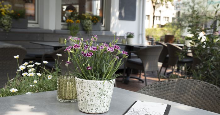 https://cdn.gastronovi.com/tmp/images/autentico-314_700x368_of_496087686e8318180.jpg