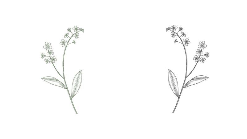https://cdn.gastronovi.com/tmp/images/blume-neueste_1920x450_or_359589398485bef58.jpg