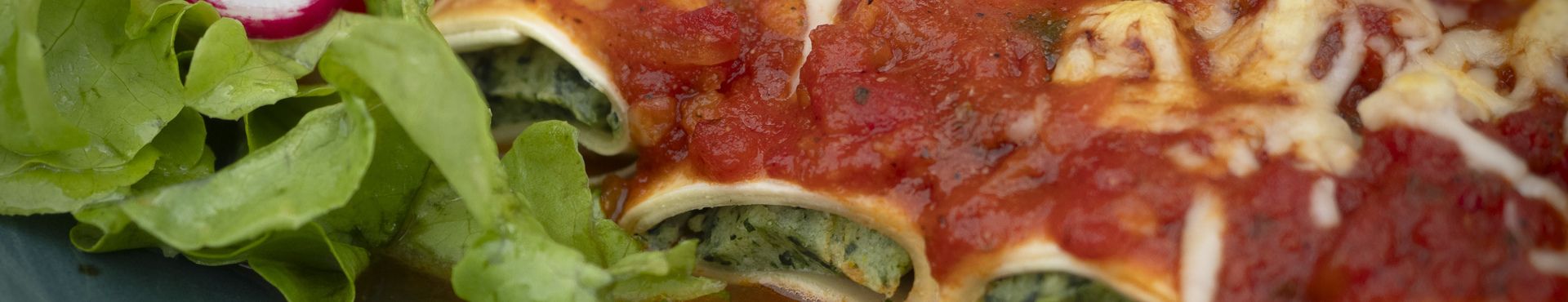 https://cdn.gastronovi.com/tmp/images/canneloni_1920x370_of_525284816d321191c.jpg