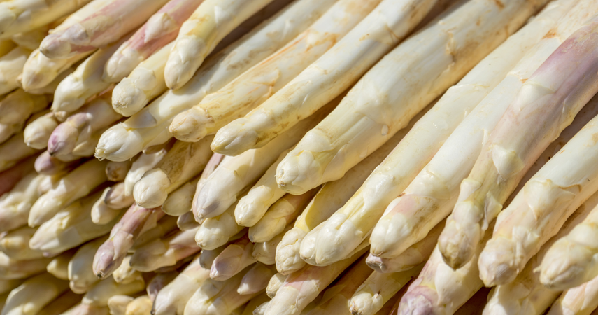 https://cdn.gastronovi.com/tmp/images/design-ohne-titel-4_1920x450_or_476293436a8a92107.png