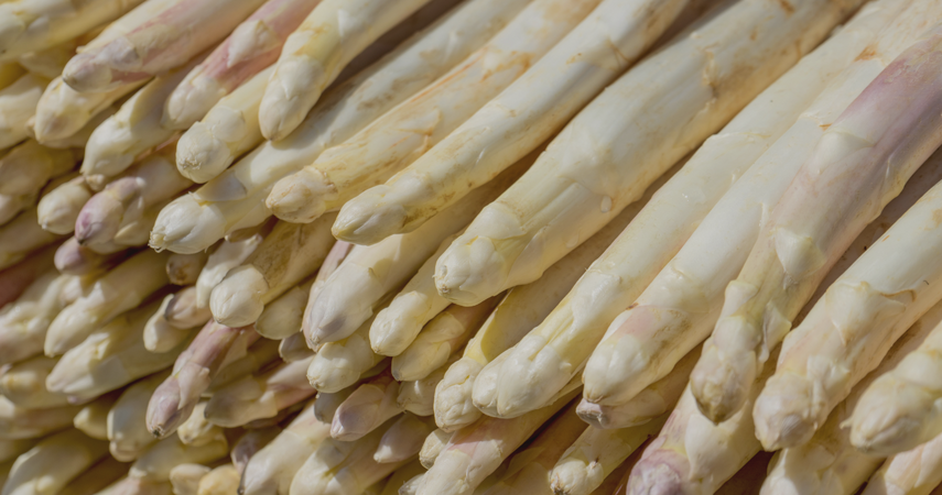 https://cdn.gastronovi.com/tmp/images/design-ohne-titel-6_1920x450_or_477446350b5961b20.png