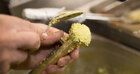 https://cdn.gastronovi.com/tmp/images/falafel-web3_700x368_of_71122165c682f878.jpg