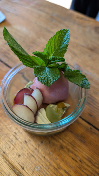 https://cdn.gastronovi.com/tmp/images/fotosessennewsletter2-04_678x356_or_391079166b6d06845.png