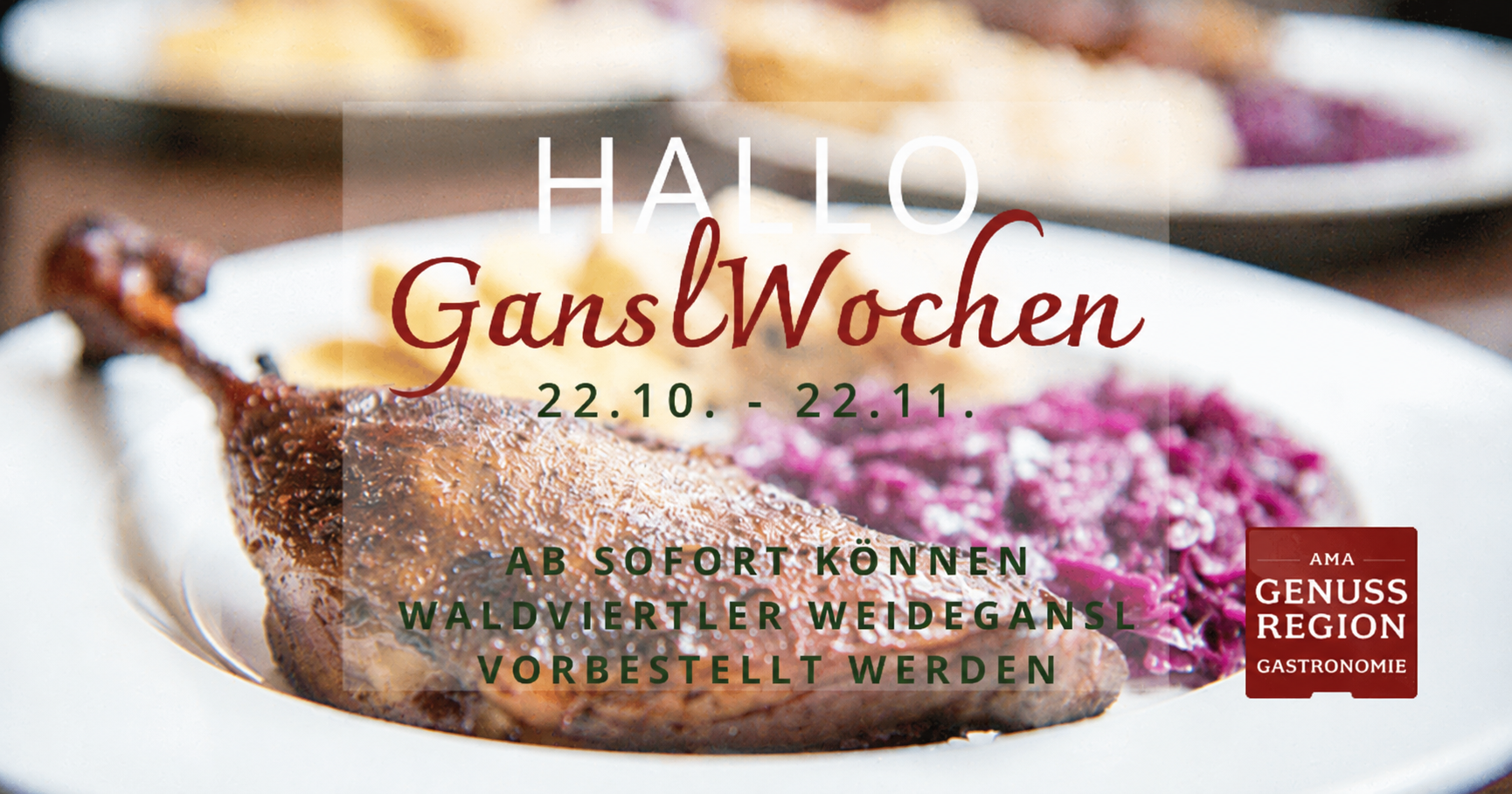 https://cdn.gastronovi.com/tmp/images/gansl-vorabinfo-website-2026_1920x1920_or_532363384a837ef65.png