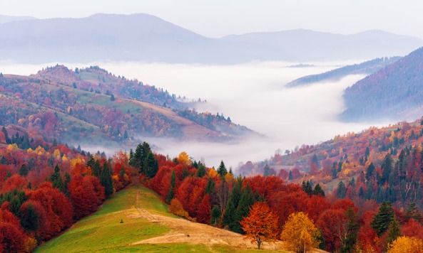 https://cdn.gastronovi.com/tmp/images/herbst2_678x356_or_400943755aa9834a8.jpg