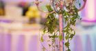 https://cdn.gastronovi.com/tmp/images/hochzeit-02_700x368_of_176659267be05446.jpg