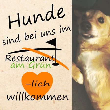 https://cdn.gastronovi.com/tmp/images/insta-hunde-willkommen_1920x450_or_373615636ff075b3b.jpg