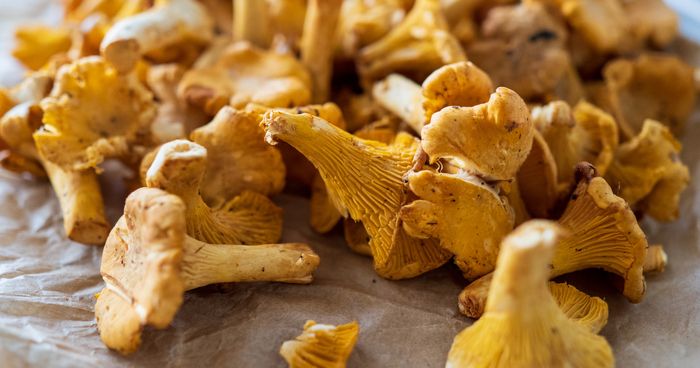 https://cdn.gastronovi.com/tmp/images/istock-1280390933_700x368_of_394813810a3cf73da.jpg