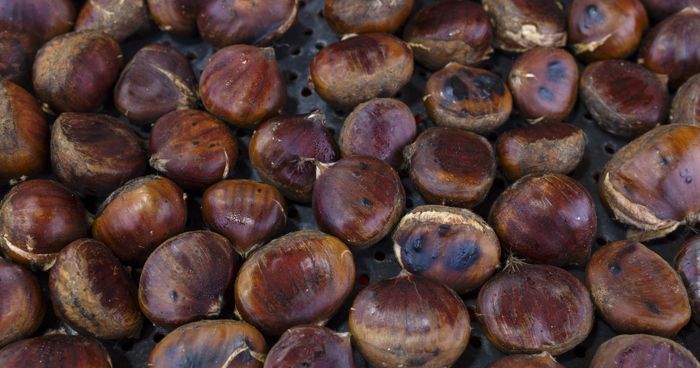 https://cdn.gastronovi.com/tmp/images/istock-907096268_700x368_of_40502703083fd8ddc.jpg