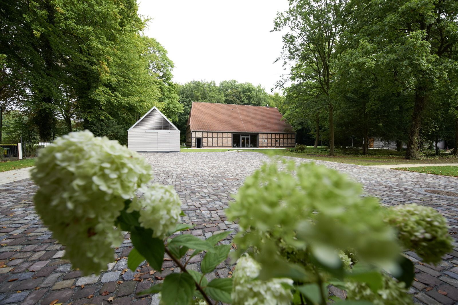 https://cdn.gastronovi.com/tmp/images/kraenholm-093_1920x1920_or_626299427531c1d9.jpg