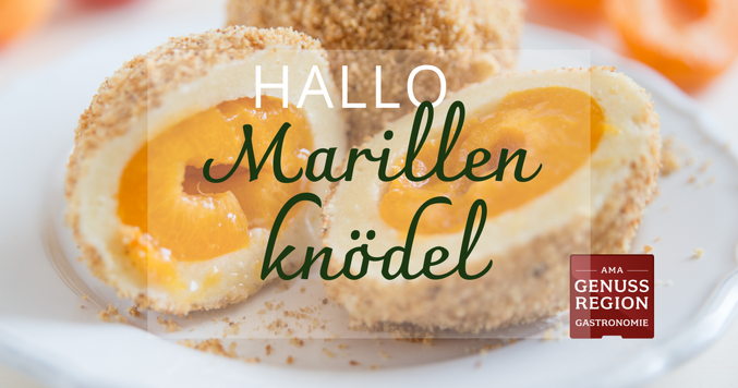 https://cdn.gastronovi.com/tmp/images/marille-webseite-neuigkeit-termin-marillenknoedel-1540-810-px_678x356_or_22013145187288390.png