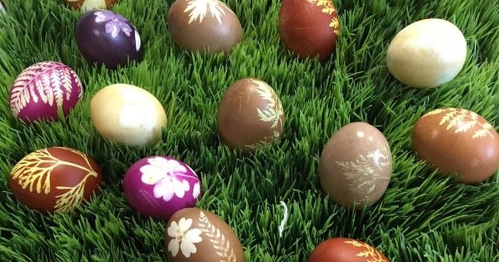 https://cdn.gastronovi.com/tmp/images/ostern-laterne_700x368_of_26381550083ad7435.jpg