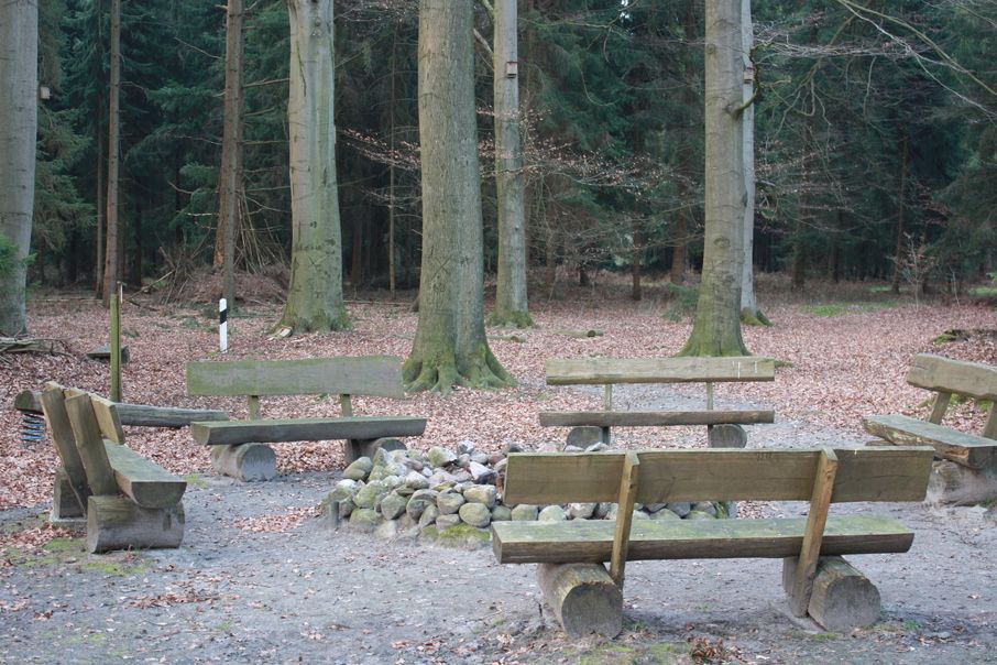 https://cdn.gastronovi.com/tmp/images/wald-img-8514_970x604_or_2611262338c4c.jpg