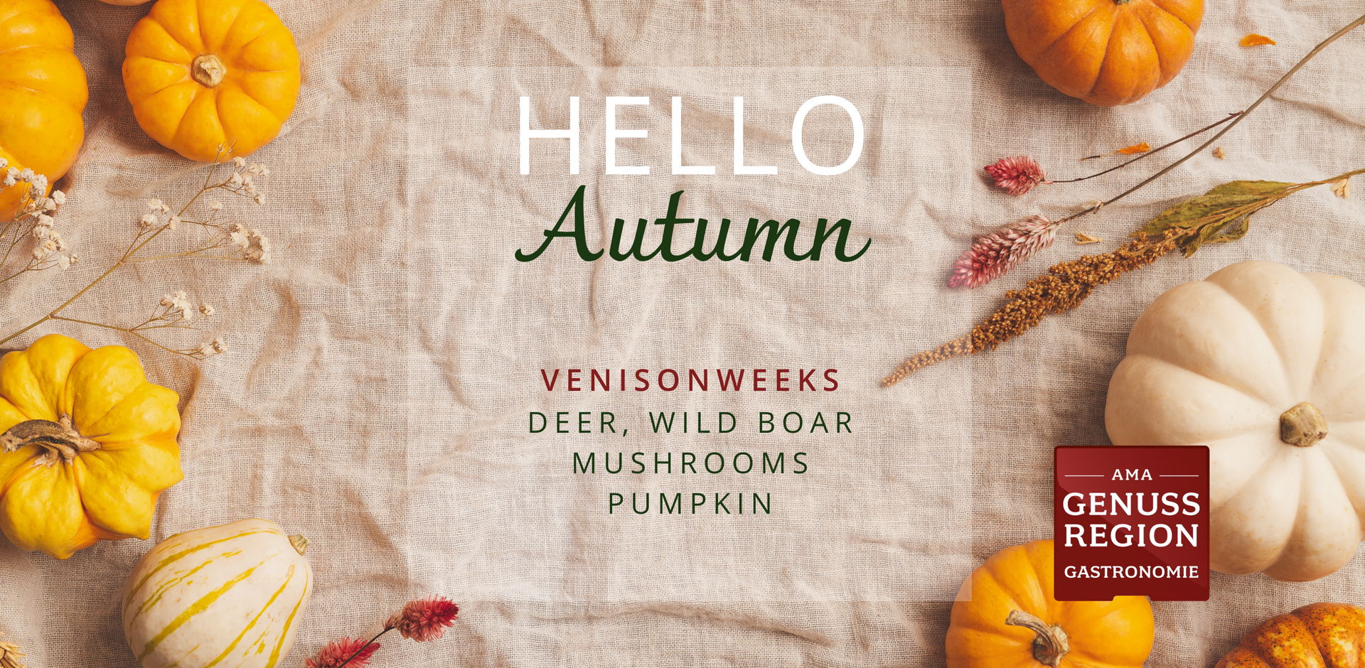 https://cdn.gastronovi.com/tmp/images/wild-en-webseite-header_1920x1920_or_224150599a63fa73b.png